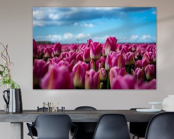 Tulpen sur Evelien Stijf