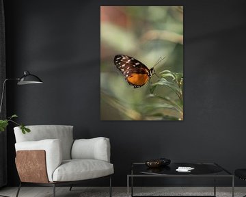 Oranje bruine vlinder van Arnold Loorbach Photography