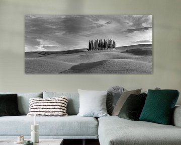 Torrenieri panorama Italy in black and white