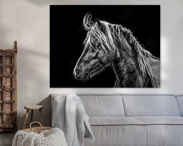 Portret van een paard in tegenlicht