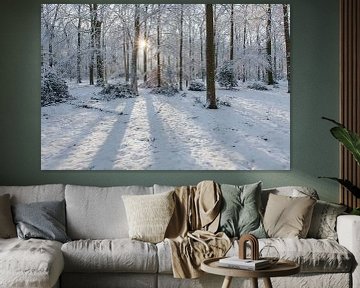 Stralend winterbos met sneeuw en zonnestralen van Martin Stevens