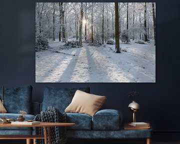 Stralend winterbos met sneeuw en zonnestralen van Martin Stevens