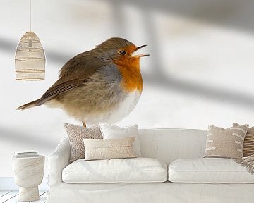 Roodborst in een wolk van sneeuw