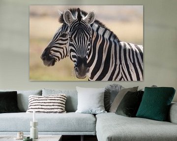 Zebra van Photo Wall Decoration