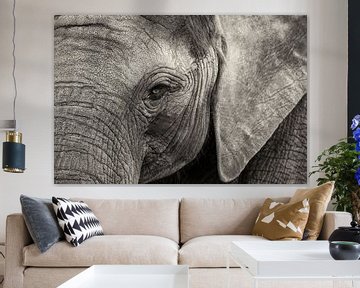 Portrait d'un éléphant sur Leon Doorn