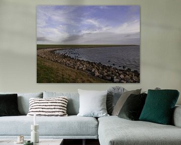 Waddendijk, Terschelling van Rinke Velds