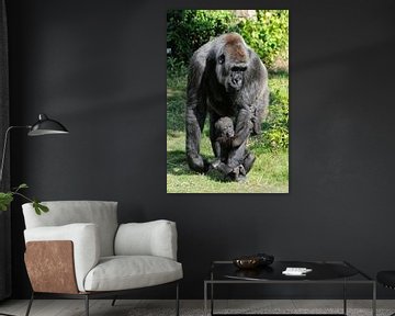 Gorilla sur Michel Groen