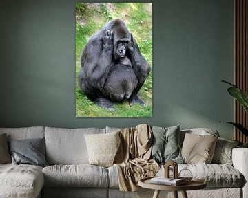 Gorilla moeder sur Michel Groen