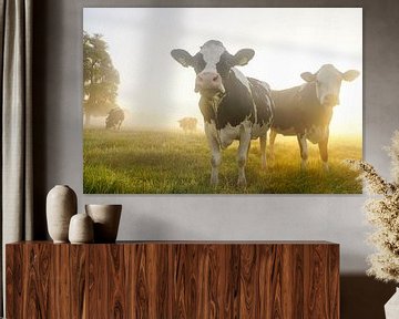 Dutch Cows by Dirk van Egmond