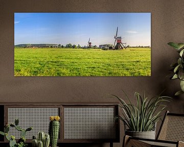 Panorama van weidelandschap met twee wipmolens bij Hoogmade van Henk van den Brink