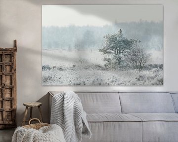 Buizerd in wit bevroren landschap van Karla Leeftink