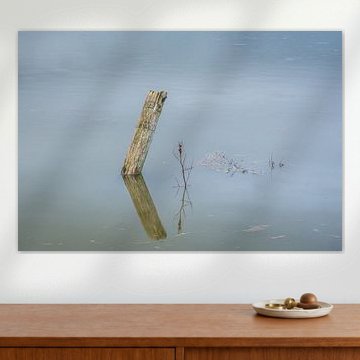 Houten paal in een ondergelopen weiland