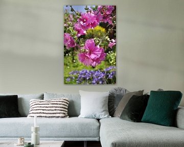 Lavatera bloemen van Corinne Welp