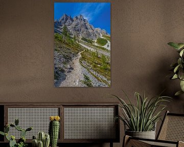 Die Sextener Rotwand in den Dolomiten in Italien - 2