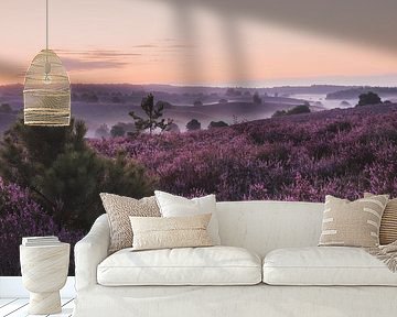 Purple heather by Jeroen Linnenkamp