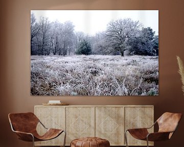 Winterlandschap op de Kampina von H Verdurmen