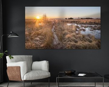 Sunrise Fochteloërveen  by Martzen Fotografie