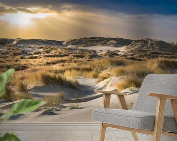 The  dunes of Terschelling by Gerard Wielenga