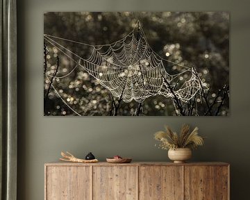 Spinneweb van Yvonne van der Meij