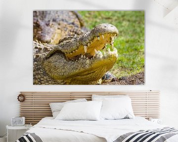 krokodil by John van Weenen