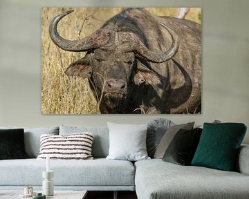 Buffel by John van Weenen