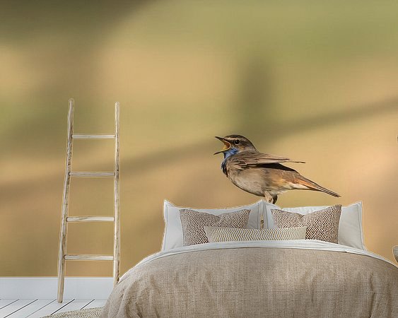 Aperçu de la chambre