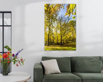 Volwassen beukenbomen in herfstkleuren in tegenlicht van Henk van den Brink