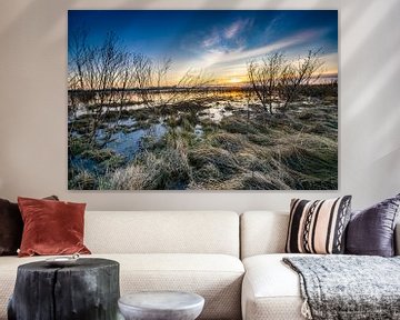 De rivier IJssel  & uiterwaarden van Fotografiecor .nl