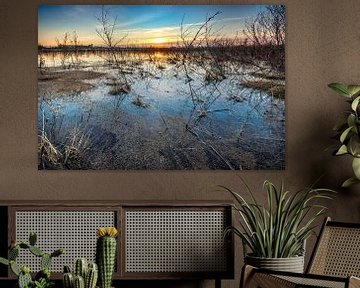 Water landschap bij zonsopkomst