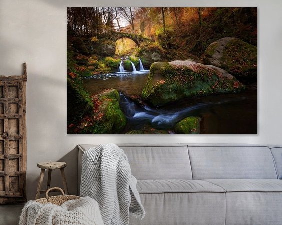 Aperçu de la chambre