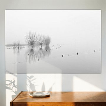 Verstild Rivierlandschap