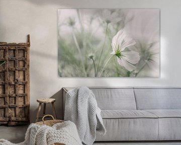 Weißen Blume Cosmea von Ellen Driesse