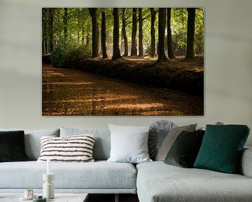 Stimmungsvoll beleuchtete Waldallee im Herbst von Fotografiecor .nl