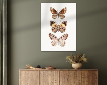 Cabinet de curiosités_Butterflies_06 sur Marielle Leenders
