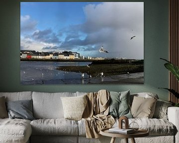 A Galway View van Naomi Kroon