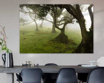Bomen in de mist van Michel van Kooten