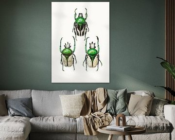 Curiosity Cabinet_Insects_04 by Marielle Leenders