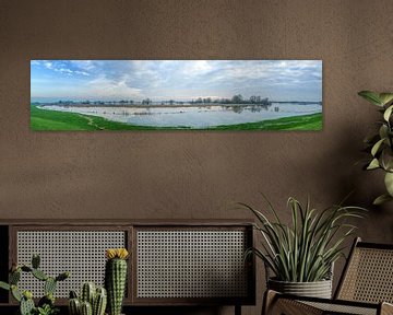 High water in the flood plains of the river IJssel by Sjoerd van der Wal