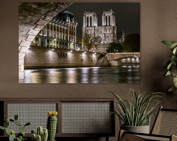 Notre Dame in der Nacht von unter der Brücke