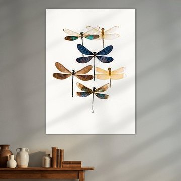 Varietätenkabinett_Insekten_10 von Marielle Leenders