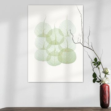 Variété Cabinet_Les feuilles_02 sur Marielle Leenders