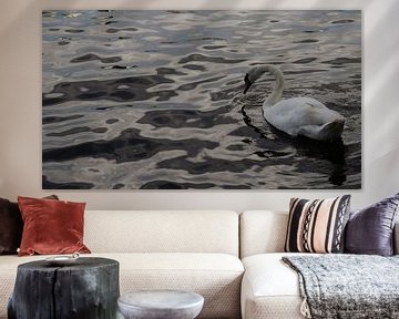 zwaan aan het water van Diederick Luijendijk
