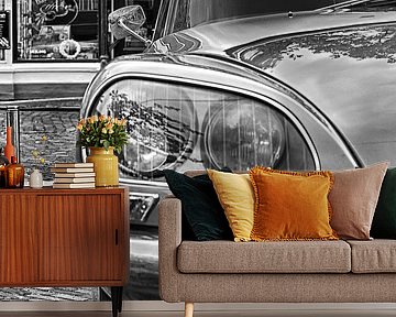 Citroen DS by Jelte Bosma