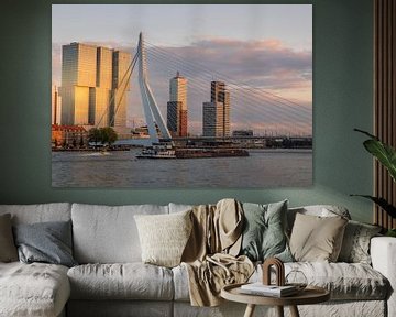 Rotterdam  Skyline van Lizanne van Spanje