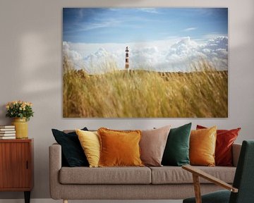 Ameland lighthouse & dunes by Nico van der Vorm