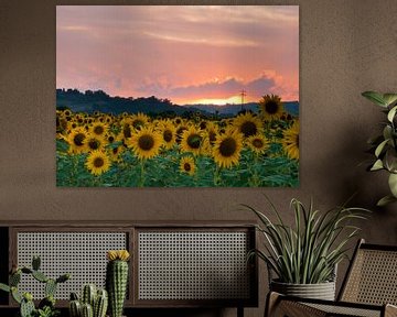 Sonnenblumen Sonnenuntergang von Judith Borremans