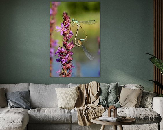 Voorbeeld van het werk in een kamer