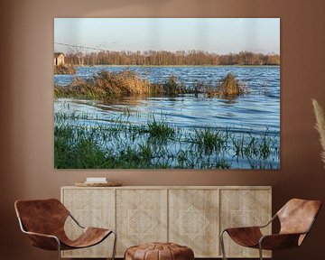 Hoog water bij de IJssel, Welsum  von Evelien Stijf