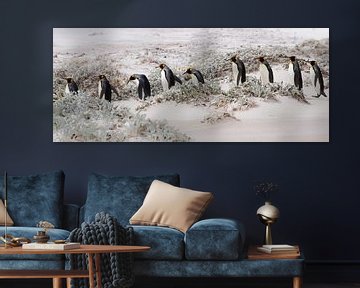 Let's continue with penguins von Claudia van Zanten
