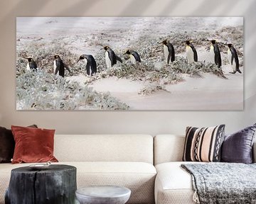 Continuons avec les pingouins. sur Claudia van Zanten